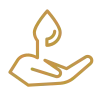 icon massage